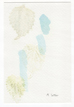 pc07