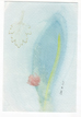 pc14